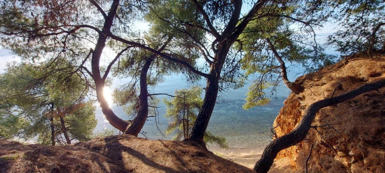 Promenada Nikiti Appartamento Esterno foto